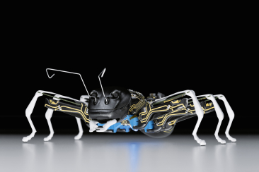 BionicAnt - eine Ameise kommt selten allein